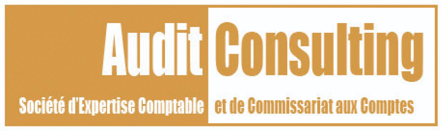 Expert-comptable, Sites internet, SEO, Community Manager, Audit Consulting, Johanna DOMINGUEZ