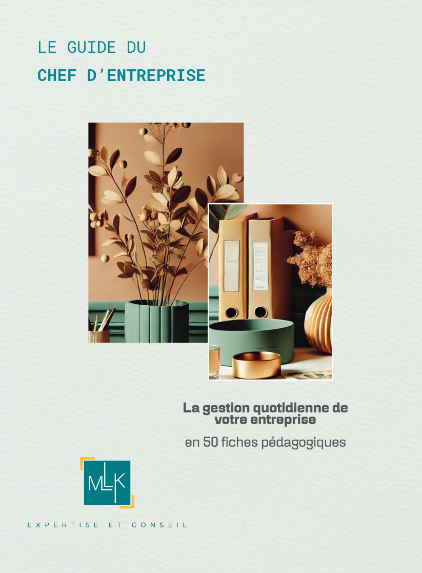 Guide du chef d'entreprise expert-comptable