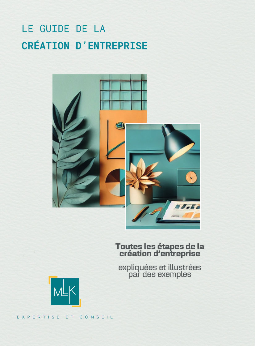 Guide de la création d'entreprise MLK